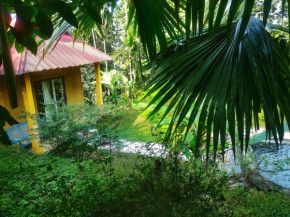 Petrichor Forest Retreat